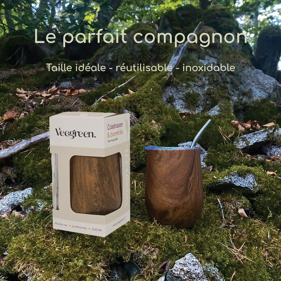 Calebasse Maté Inoxydable