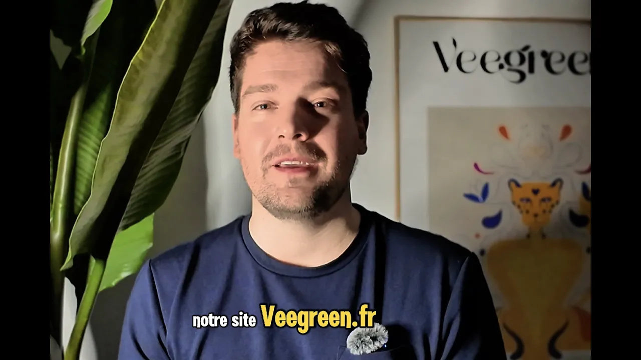 Charger la vidéo :