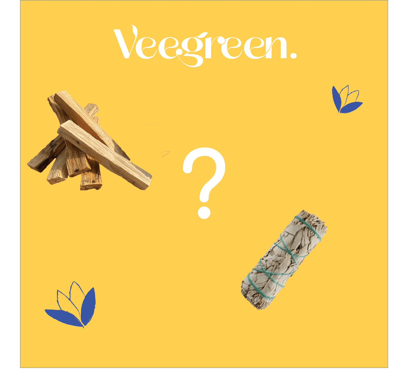 La-Sauge-Blanche-et-le-Palo-Santo-qu-est-ce-que-c-est Veegreen