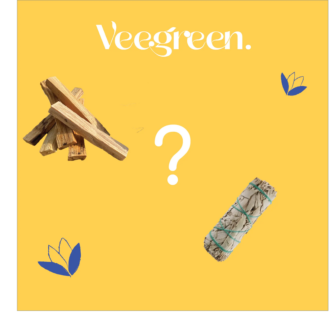 La-Sauge-Blanche-et-le-Palo-Santo-qu-est-ce-que-c-est Veegreen