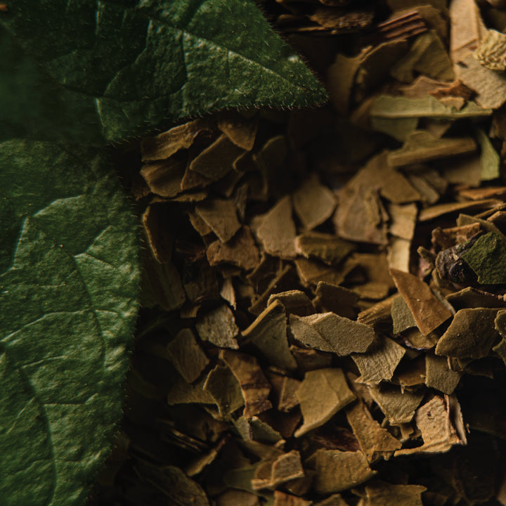 Organic Green Yerba Mate