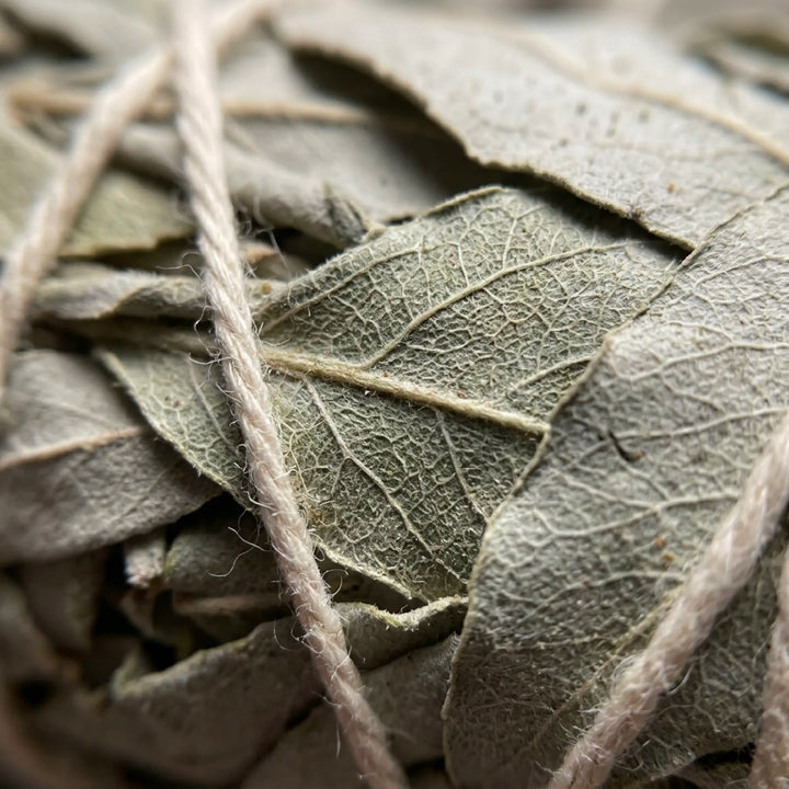 White Sage Purification Box