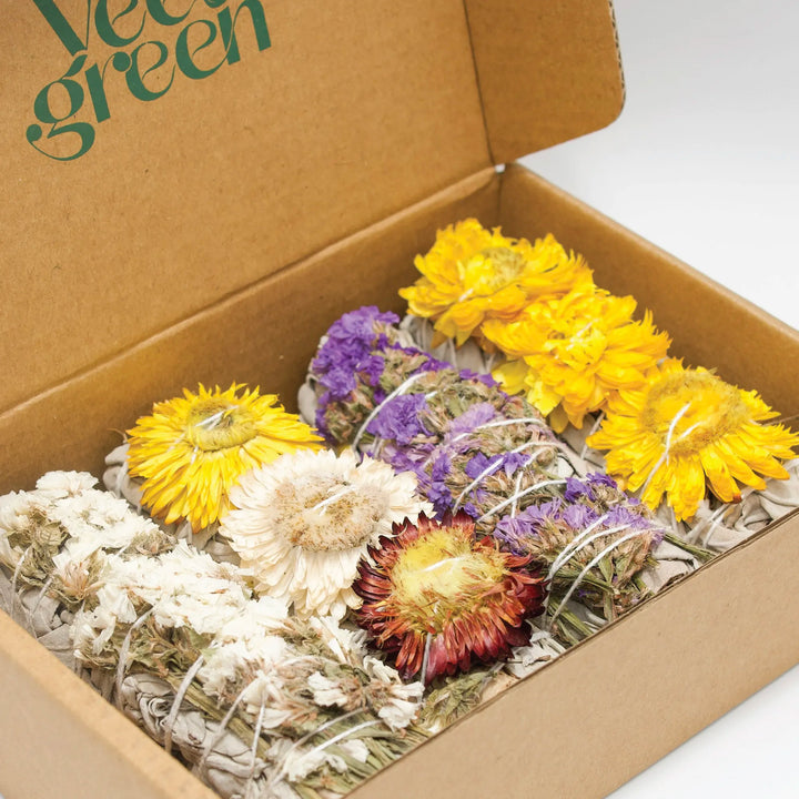 Coffret Sauges fleuries