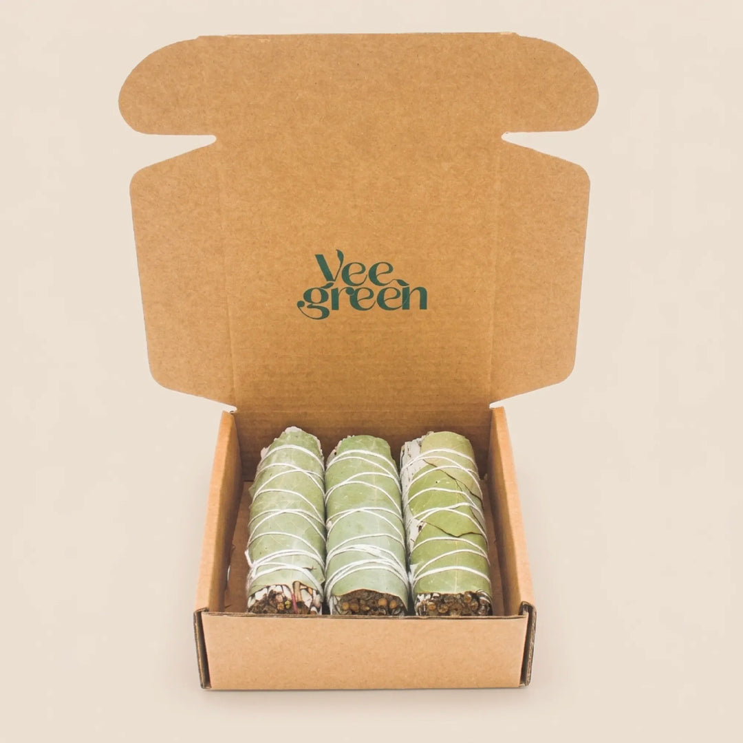 Sauge Blanche Eucalyptus