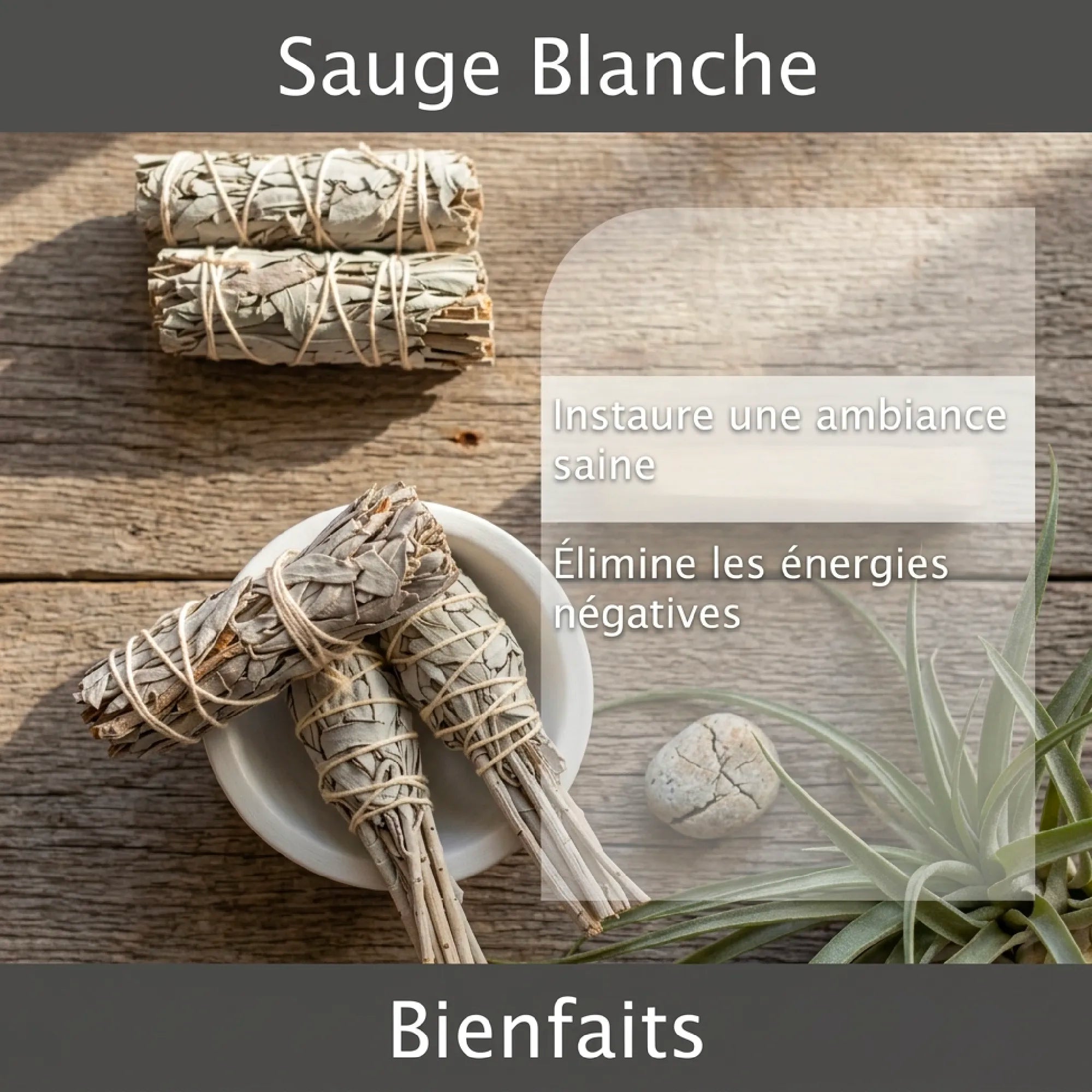 Sauge Blanche Purification en VRAC