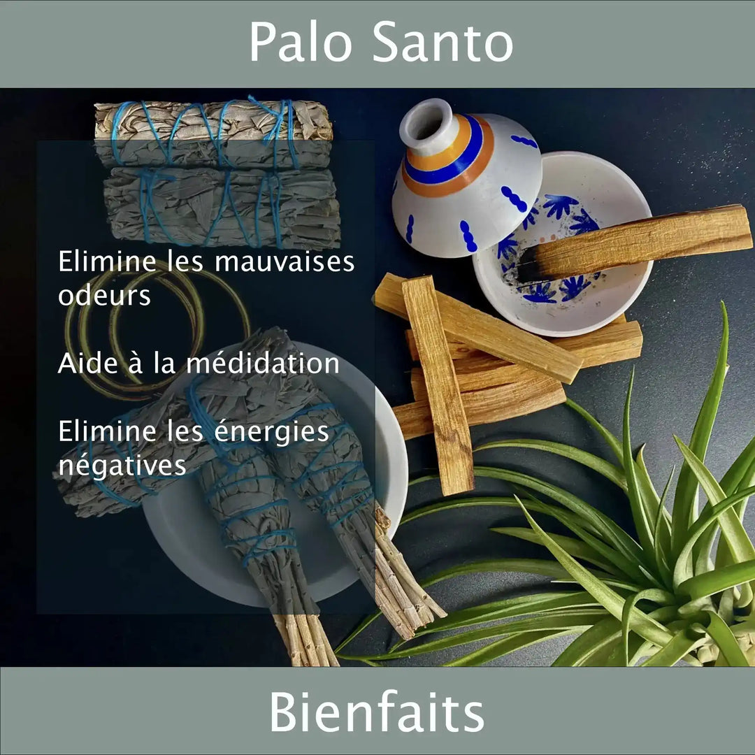 Bienfaits Palo Santo