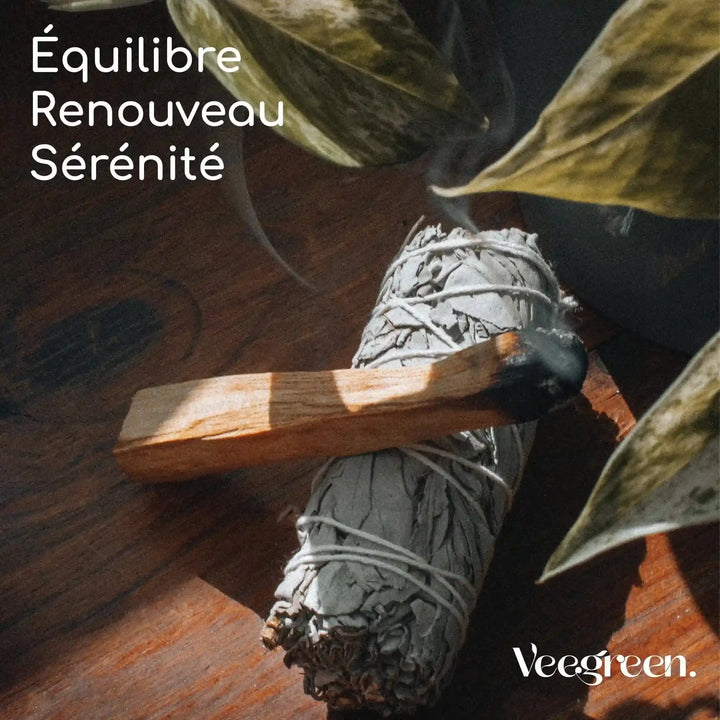 Sauge Blanche et Palo Santo 