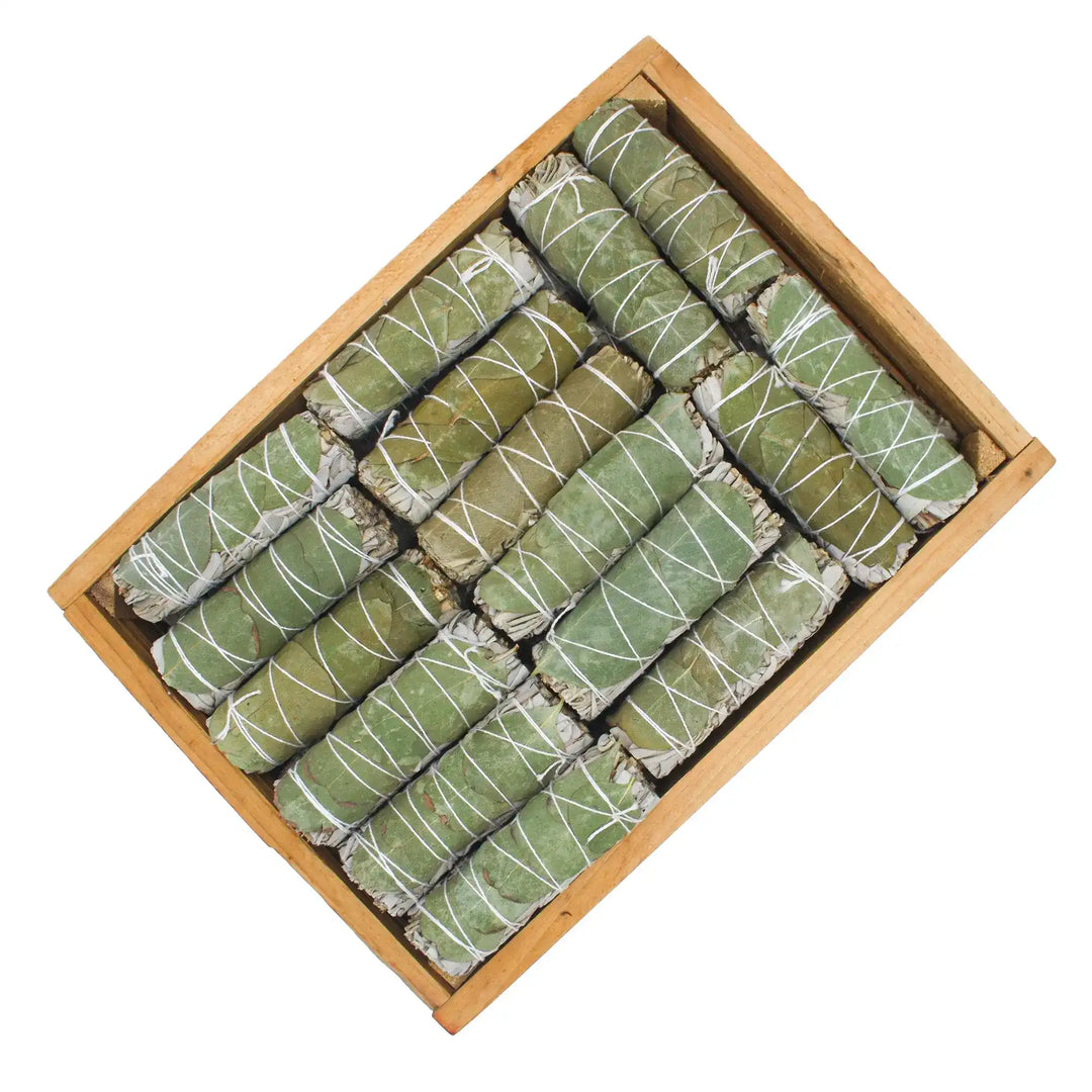 Bâton Sauge Blanche Eucalyptus 