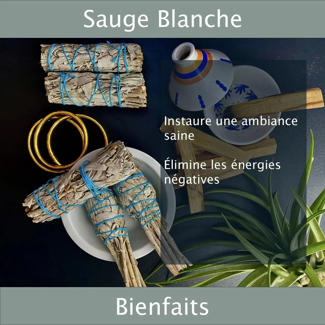 Sauge Blanche Ambience Saine