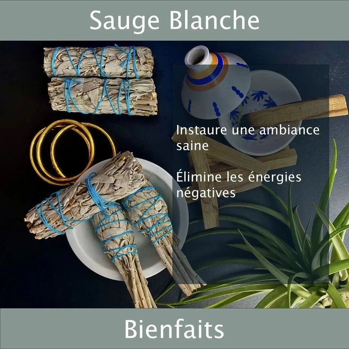 Sauge Blanche Ambience Saine