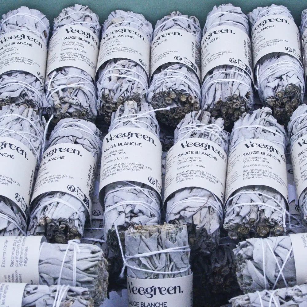 Sauge Blanche à Bruler