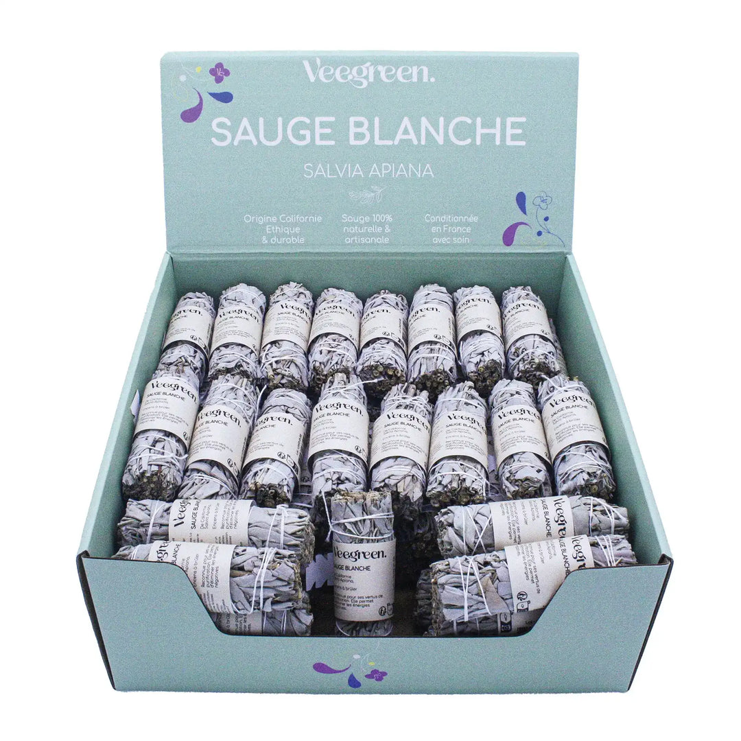 Sauge Blanche Encens  